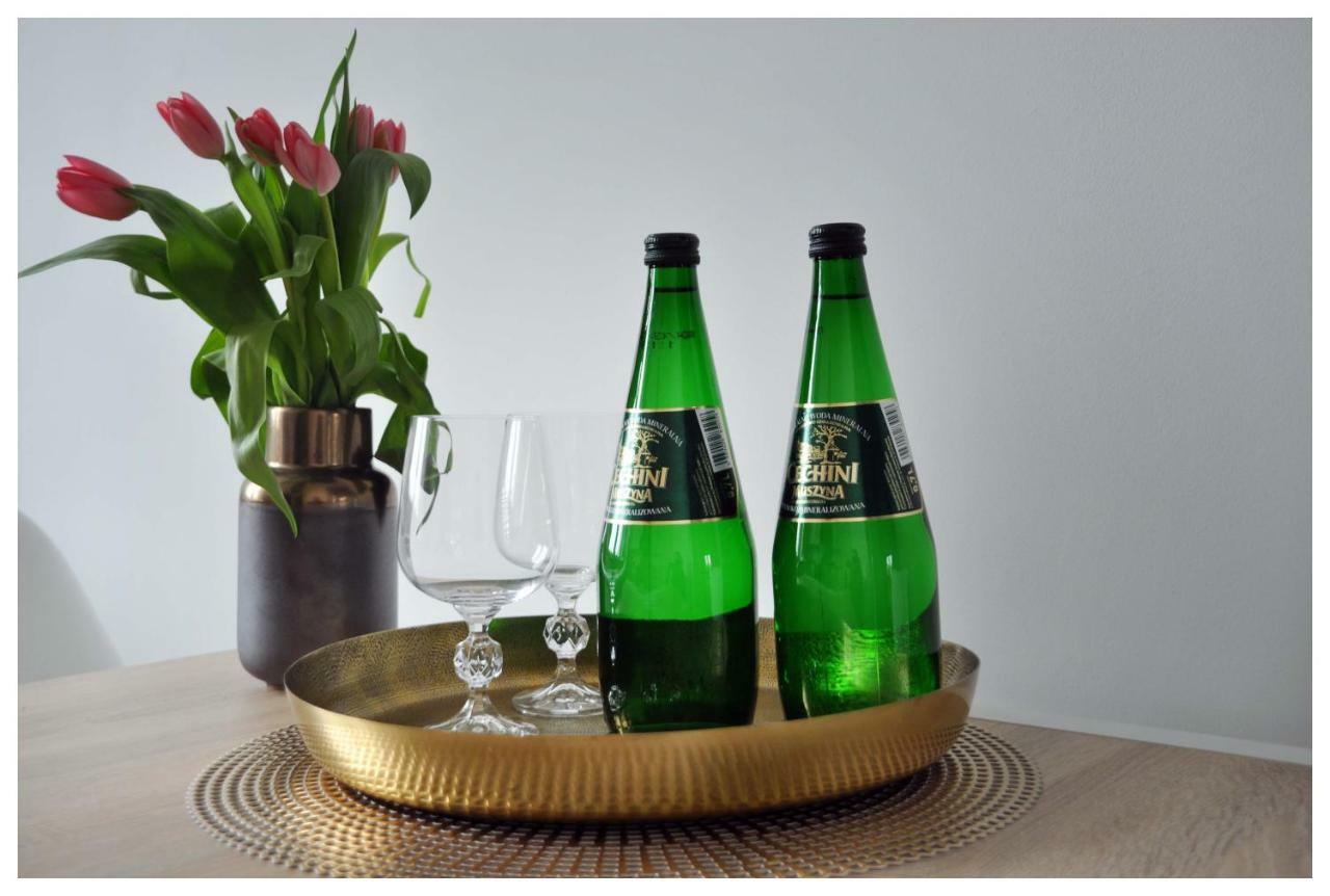 Color 24 Premium Apartment Stalowa Wola Bagian luar foto
