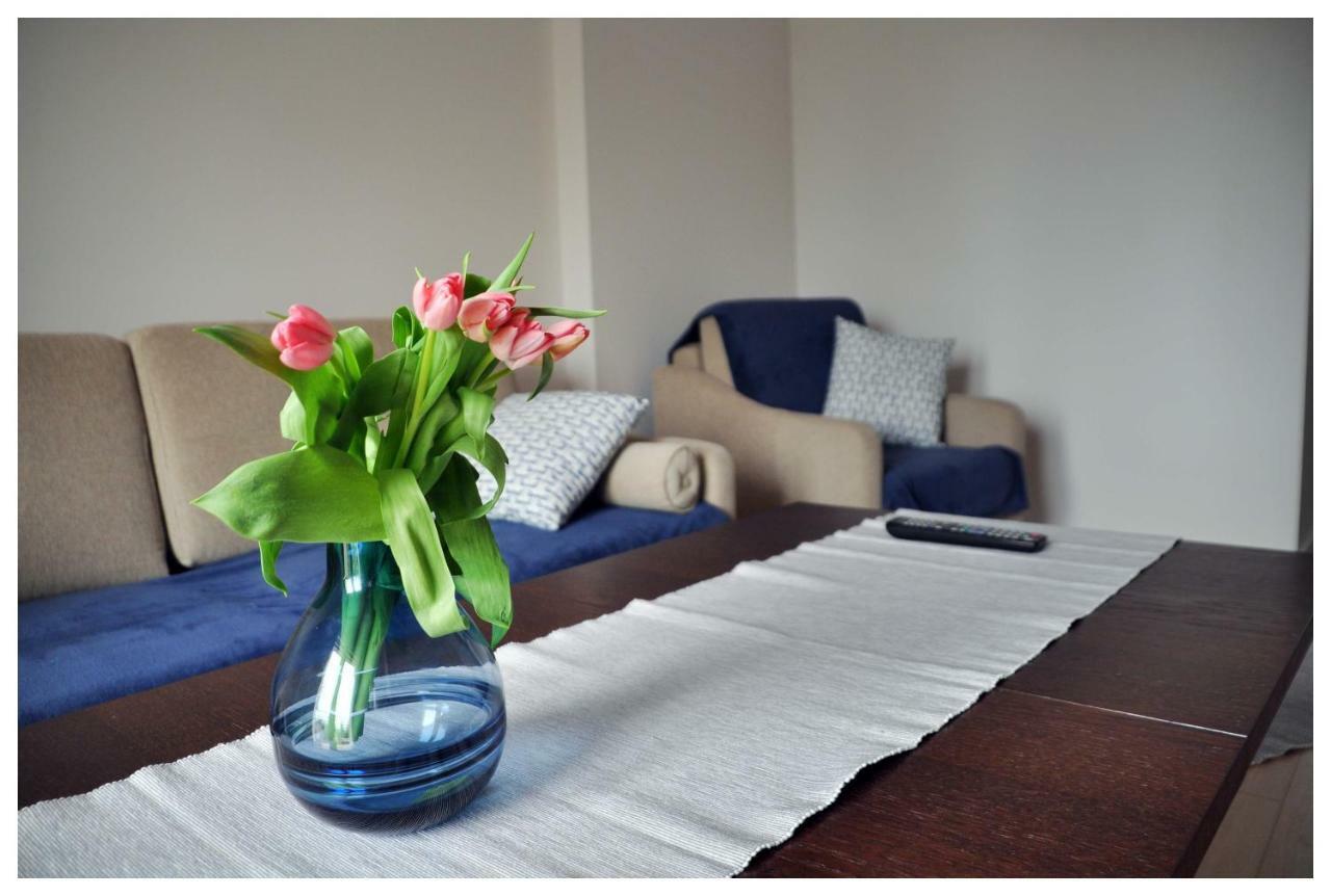 Color 24 Premium Apartment Stalowa Wola Bagian luar foto